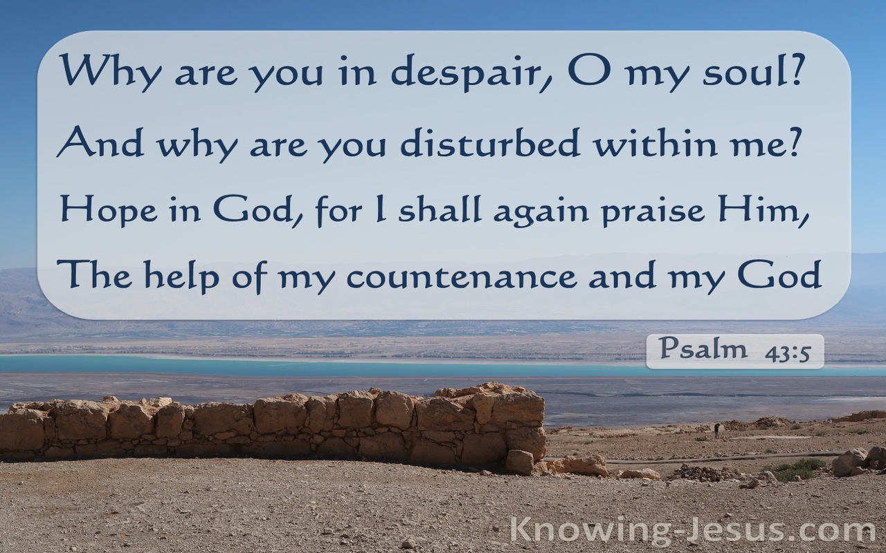 Psalm 43:5 Why Are You In Despair (navy)